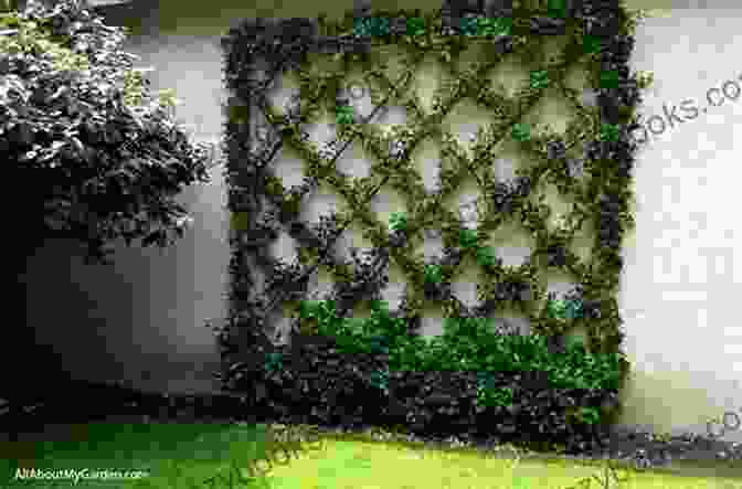 A Breathtaking Garden Featuring Ivy Cascading Over Walls And Trellises The Ivy Now: New Edition