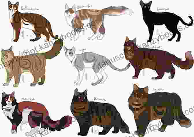 A Variety Of Plants And Animals Found In The Warrior Cats Universe Warriors: Code Of The Clans (Warriors Field Guide 3)