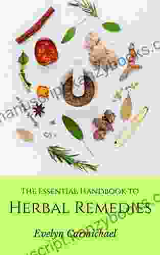 The Essential Handbook To Herbal Remedies